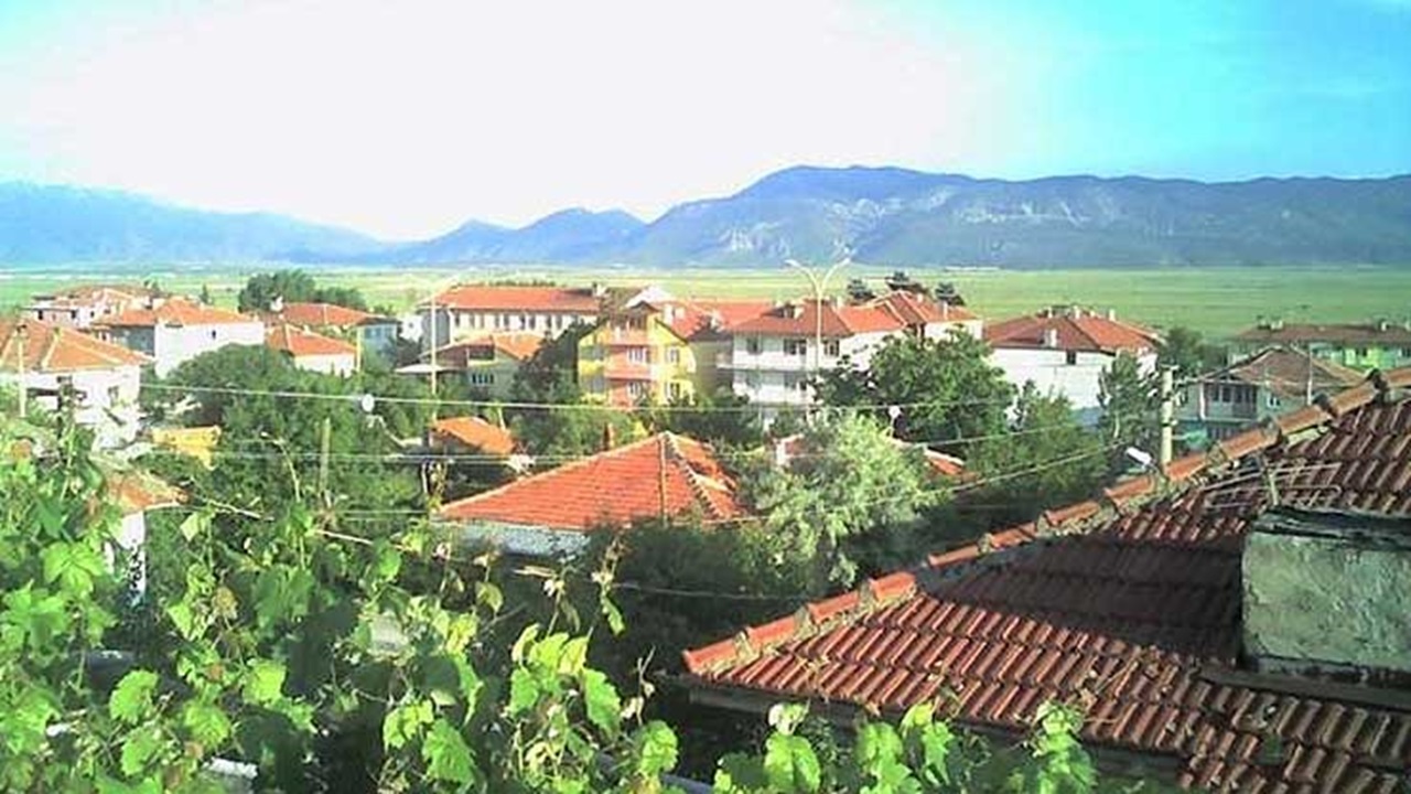 Çardak Nakliyat 